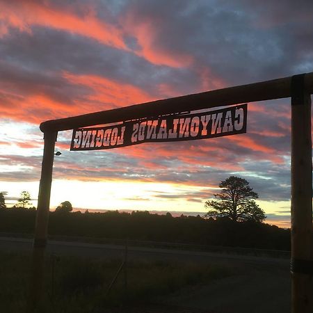 Lupine Cabin, Glamour Camping, Stunning Skies&Sunrise Views Monticello Exterior foto