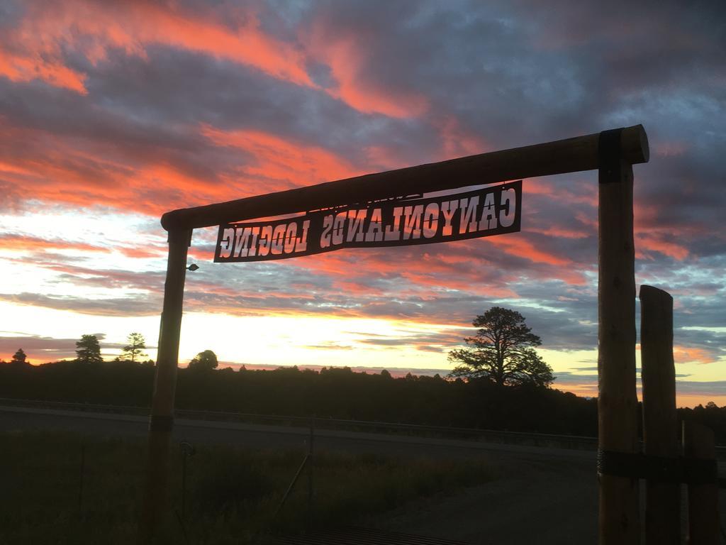 Lupine Cabin, Glamour Camping, Stunning Skies&Sunrise Views Monticello Exterior foto